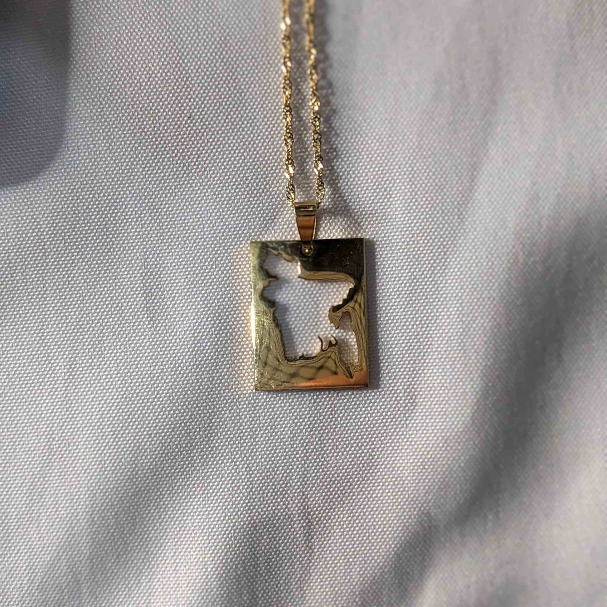Bangladesh Map Cutout Necklace - Stainless Steel